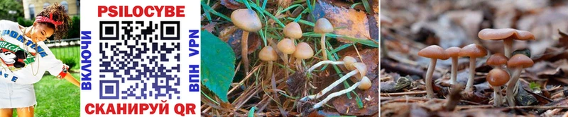 Псилоцибиновые грибы Magic Shrooms  площадка состав  Шагонар 